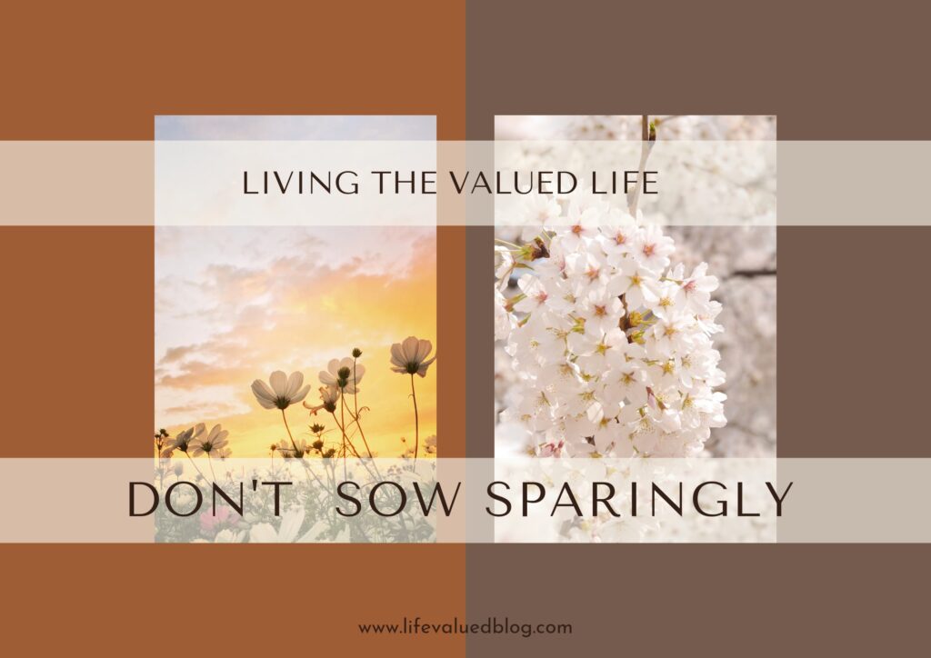 Spaingly DON'T SOW SPARINGLY! - LIFE VALUED BLOG