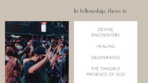 An image designed in Canva